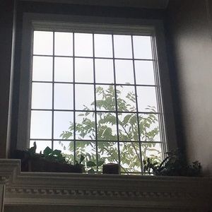 Meet your Posher, Mike